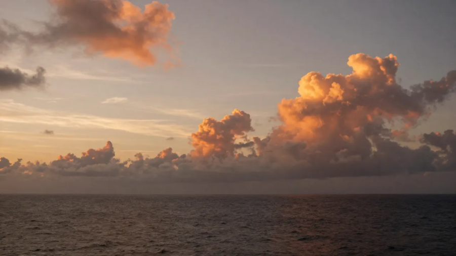 51e62497-d14a-40b5-8b7a-a8134426fa9b